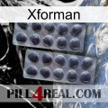 Xforman 31